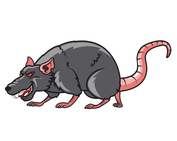 rats
