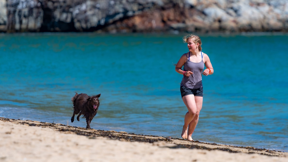 10 Fun Outdoor Activities For You & Your Dog 