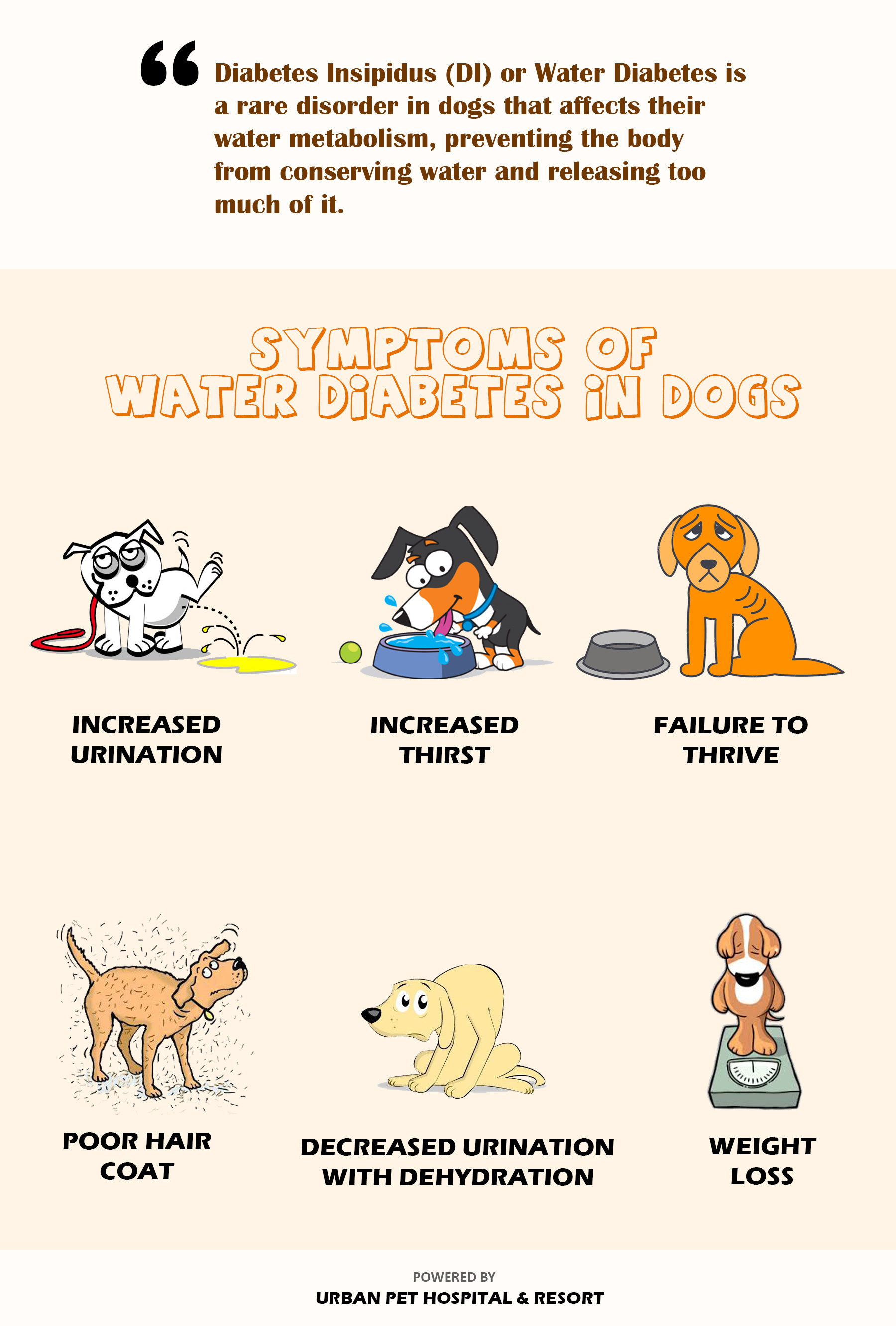 how does diabetes affect a dog