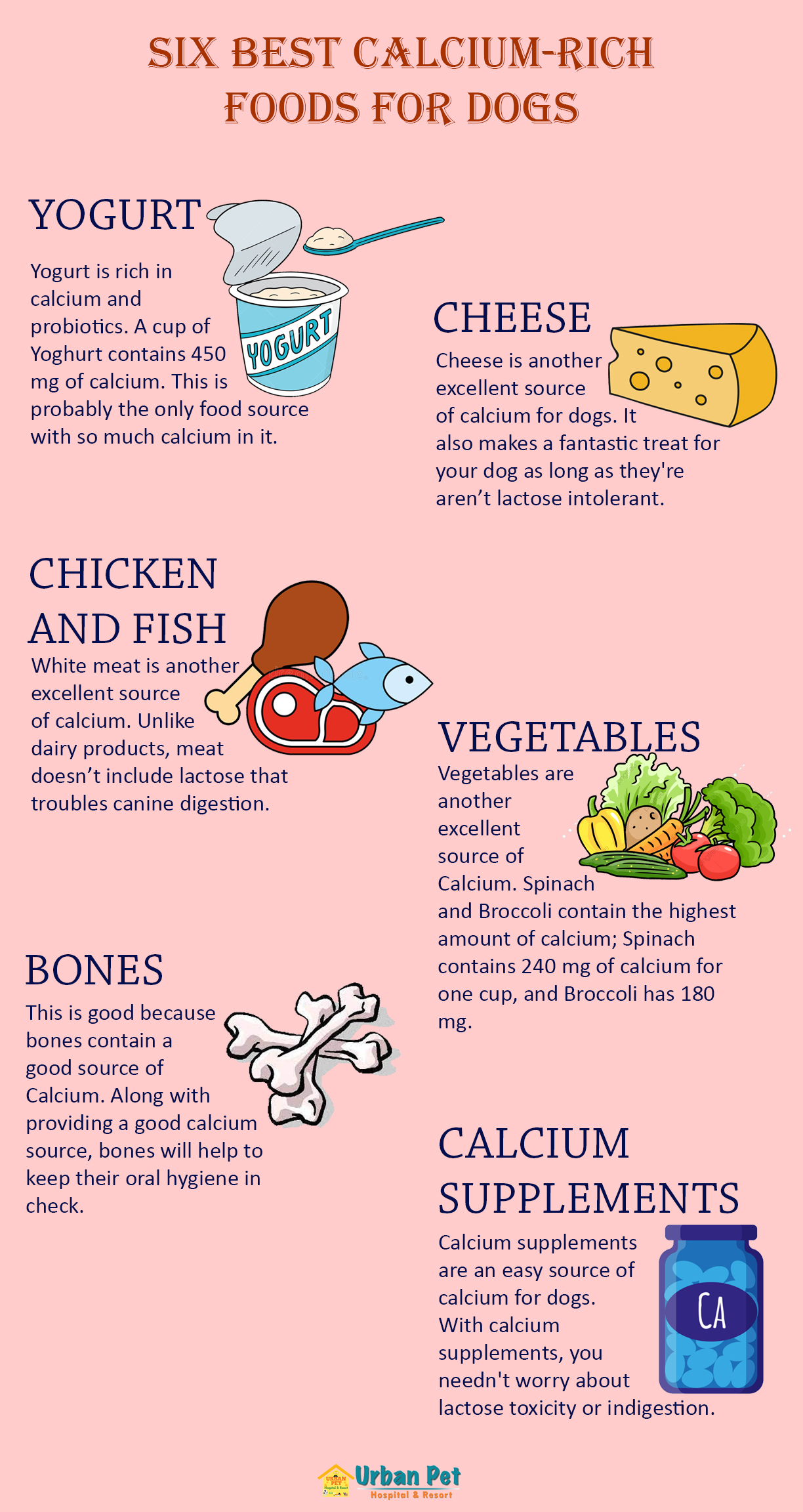 Can Dog Food Cause High Calcium Levels? 2