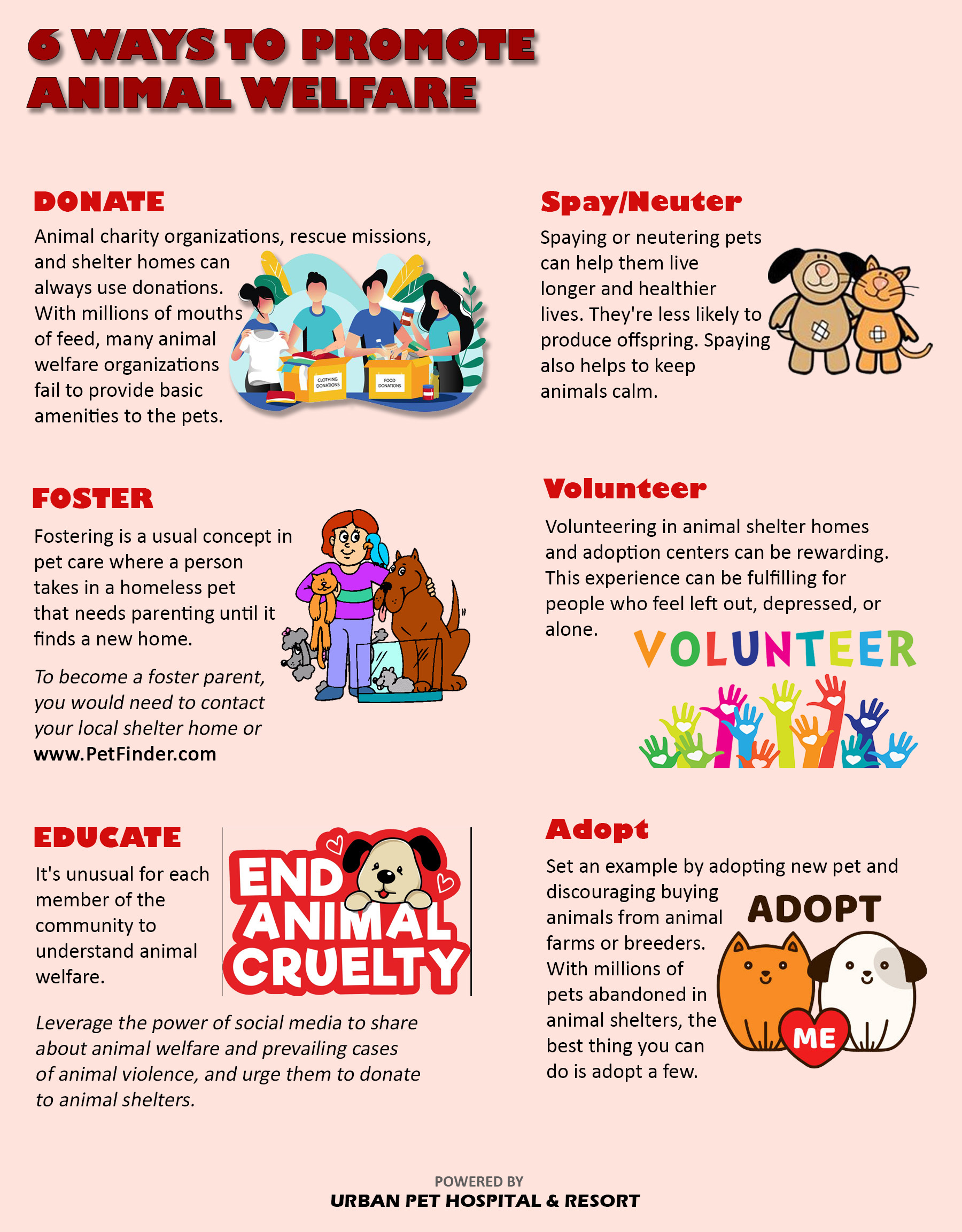 Pet News & Articles | Urban Pet Hospital Blog | How to promote animal  welfare in your community?