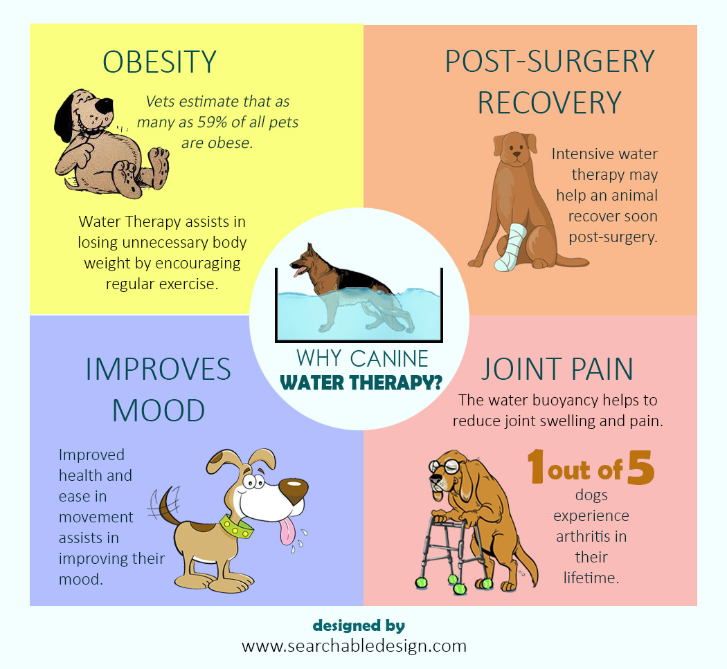 why canine water therapy