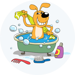 pet-grooming-service